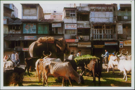 Ahmedabad
