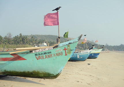 Going Going Goa
