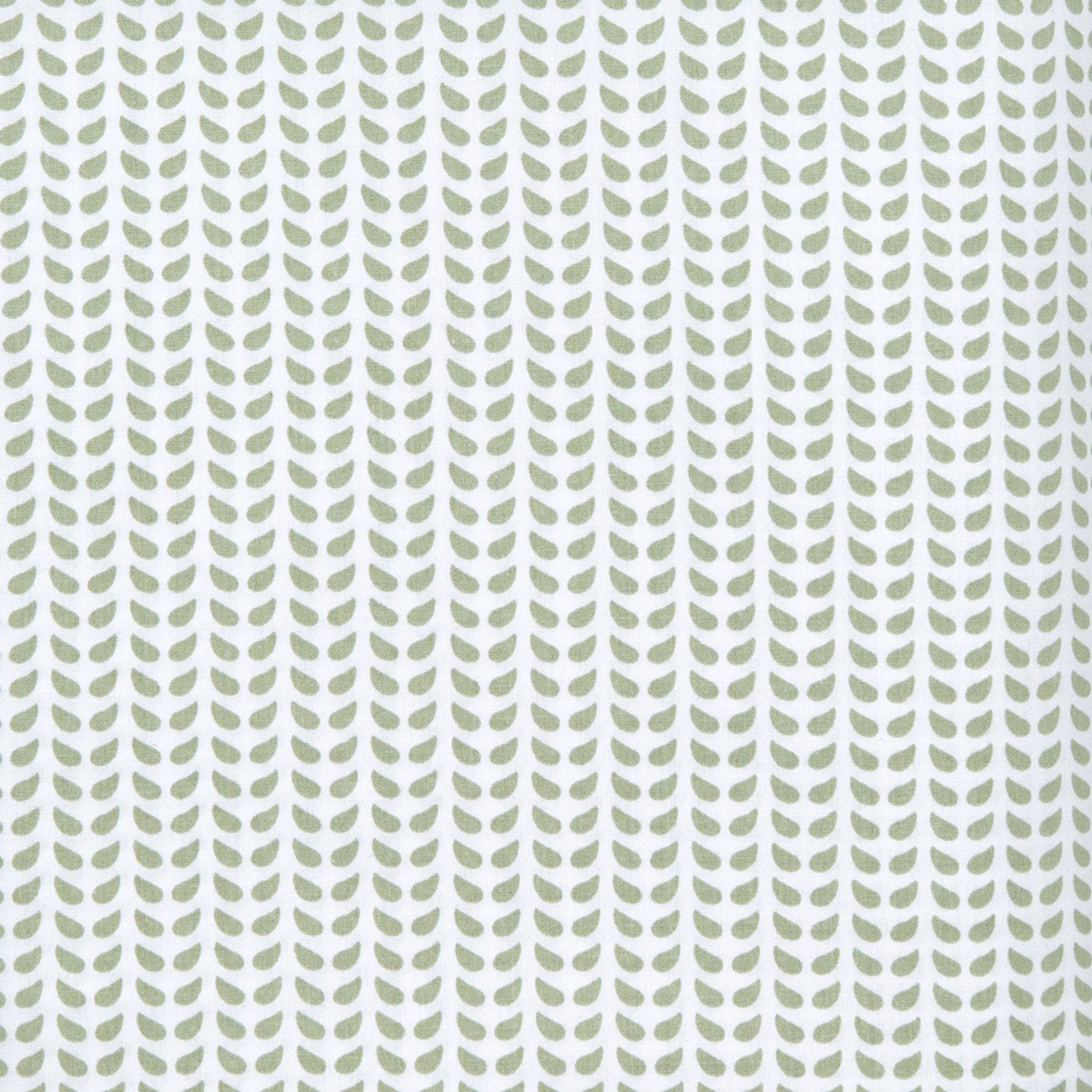 Cinde Sage Organic Sham