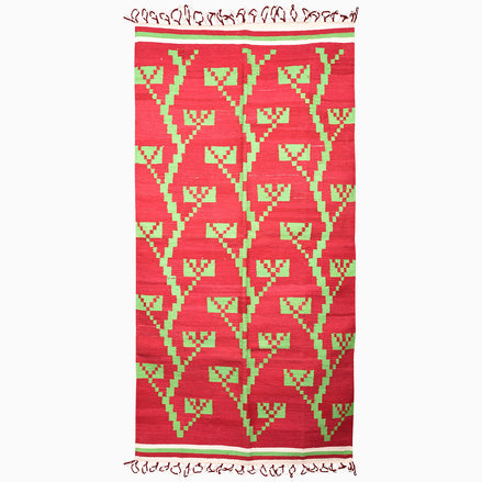 Vines that Climb Rug by John Robshaw