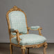 Divit Willow Fabric
