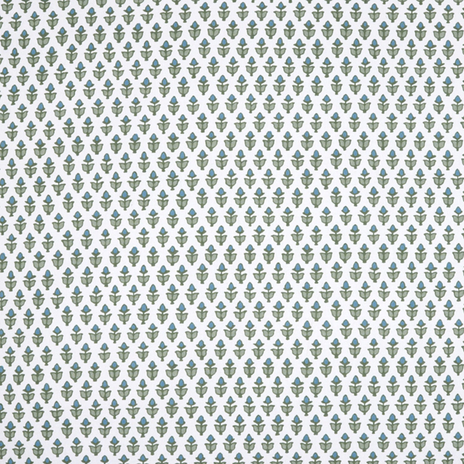 Cala Sage Organic Sham