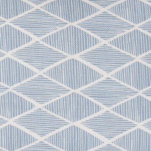 Raj Outdoor Kidney Pillow