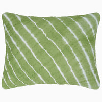 Sagar Sage Sham - High Quality Image of 