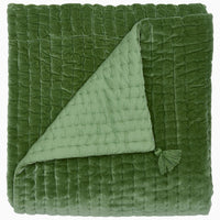 Velvet Moss Throw - High Quality Image of 
