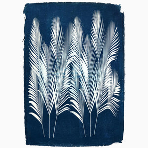 Areca Palm Cyanotype