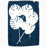 Split Leaf Philodendron Cyanotype - High Quality Image of 