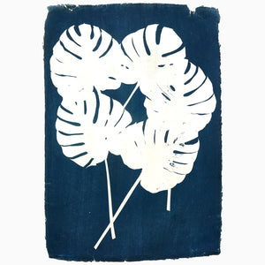 Split Leaf Philodendron Cyanotype